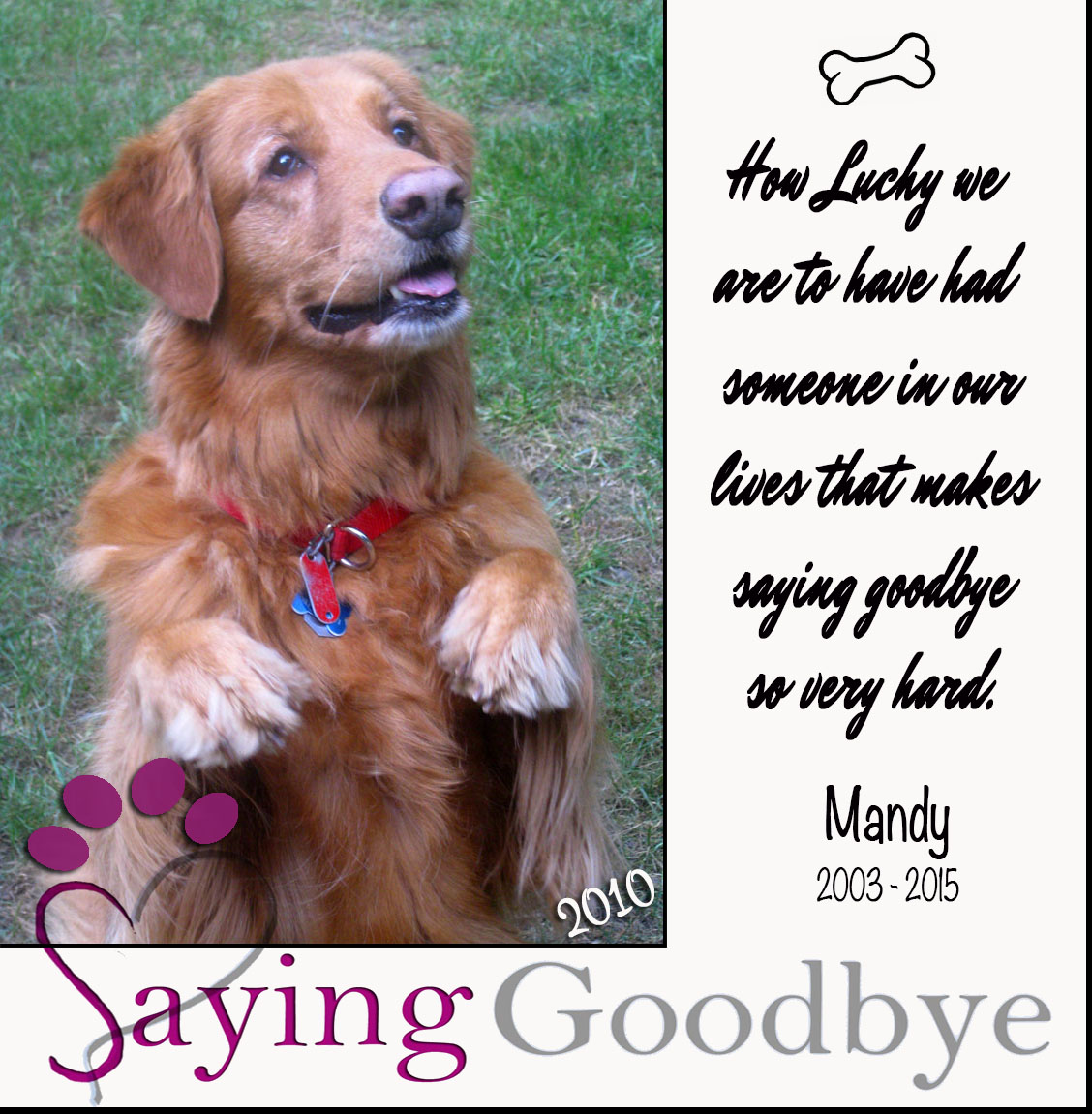 Goodbye Mandy
