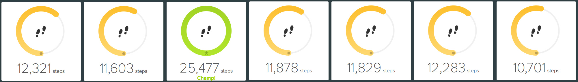 96,092 steps